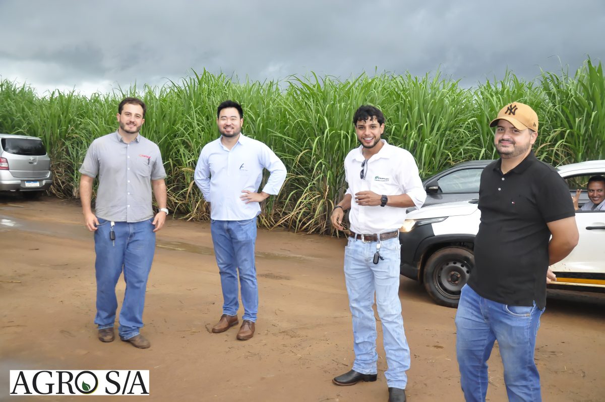 dedeagro-18