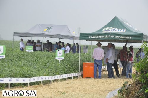 dedeagro-14