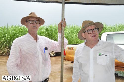 dedeagro-16