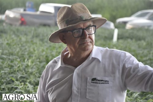 dedeagro-8