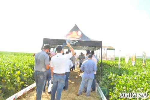 MAIRA-CAMPO-210