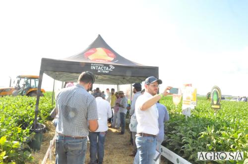 MAIRA-CAMPO-211