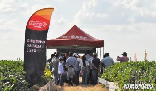 MAIRA-CAMPO-236