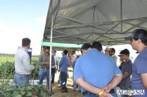 MAIRA-CAMPO-238