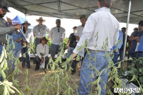 MAIRA-CAMPO-242