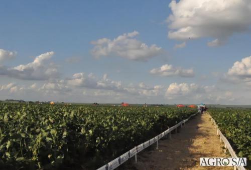 MAIRA-CAMPO-252