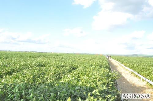 MAIRA-CAMPO-253