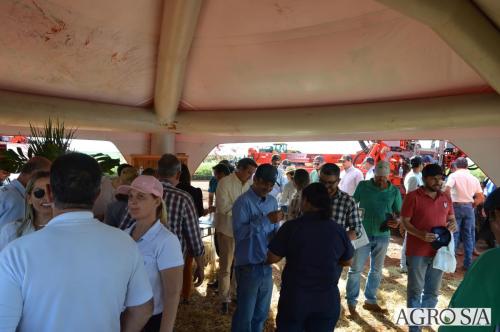 MAIRA-CAMPO-339