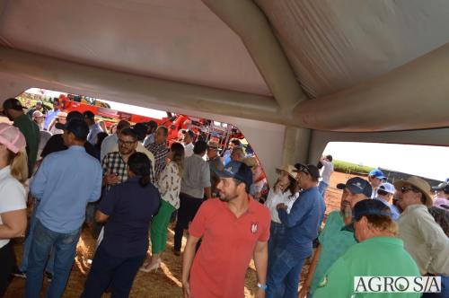 MAIRA-CAMPO-340