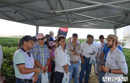 MAIRA-CAMPO-359