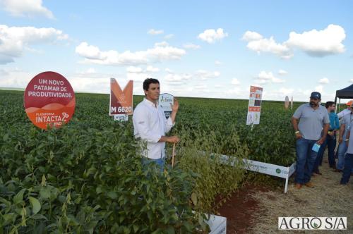 MAIRA-CAMPO-365