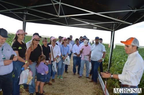 MAIRA-CAMPO-378