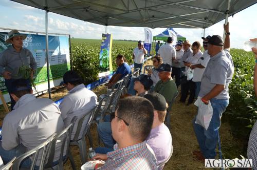 MAIRA-CAMPO-415