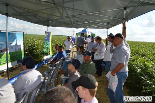 MAIRA-CAMPO-418