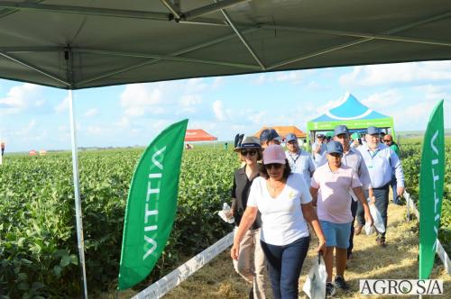 MAIRA-CAMPO-426