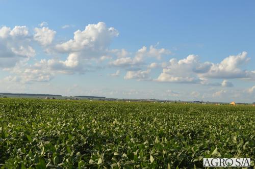 MAIRA-CAMPO-430