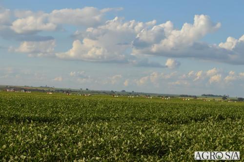 MAIRA-CAMPO-431