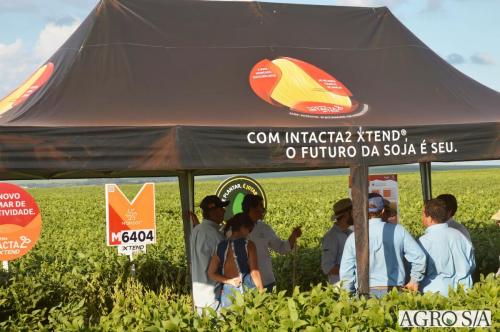 MAIRA-CAMPO-435
