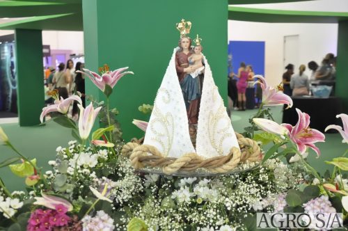 1-encoop-2-dia-111