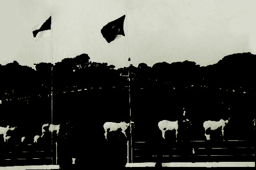 01 (1)