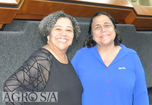 goiania-8