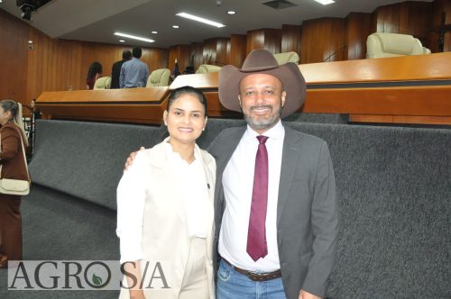 goiania-87