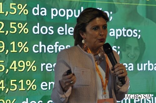 holambra-1-dia-189