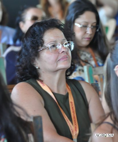 holambra-1-dia-244