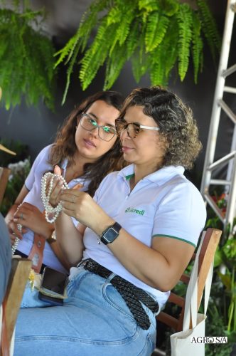 holambra-1-dia-294