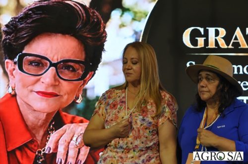 holambra-1-dia-338