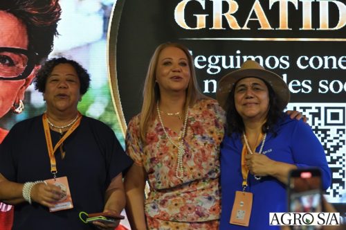 holambra-1-dia-354