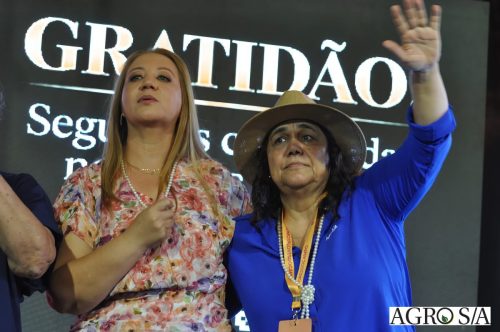 holambra-1-dia-356