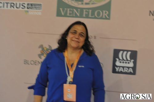 holambra-1-dia-556