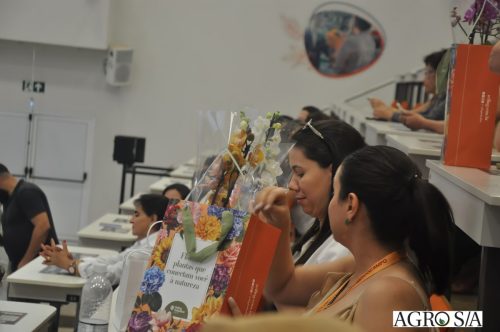holambra-segundo-dia-110