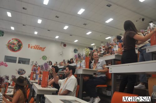 holambra-segundo-dia-111