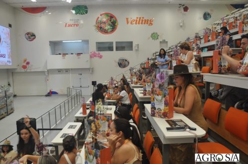 holambra-segundo-dia-116