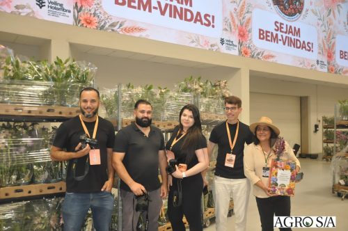 holambra-segundo-dia-123