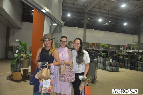 holambra-segundo-dia-130