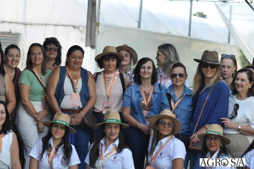 holambra-segundo-dia-144