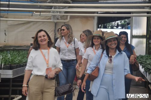holambra-segundo-dia-16