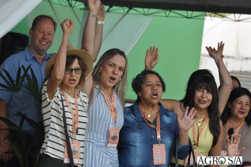 holambra-segundo-dia-162