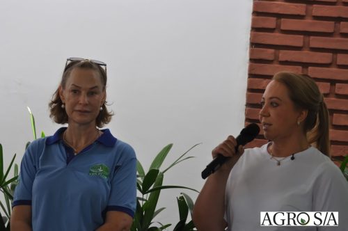 holambra-segundo-dia-221