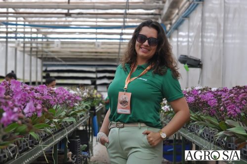 holambra-segundo-dia-244