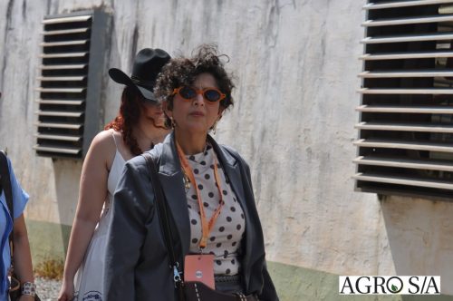 holambra-segundo-dia-261
