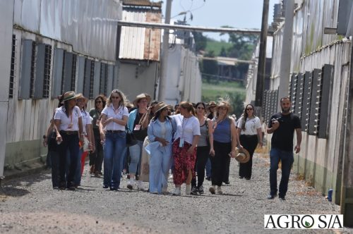 holambra-segundo-dia-269