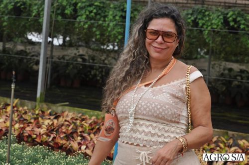holambra-segundo-dia-311