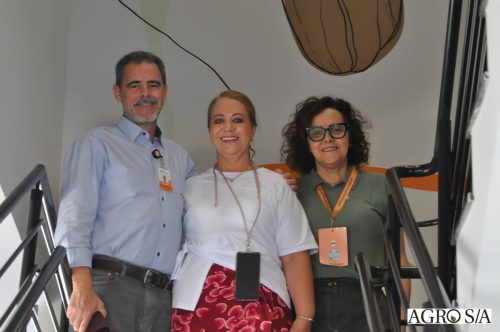 holambra-segundo-dia-359
