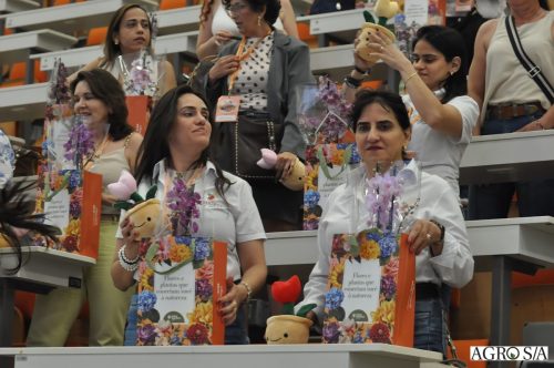 holambra-segundo-dia-416