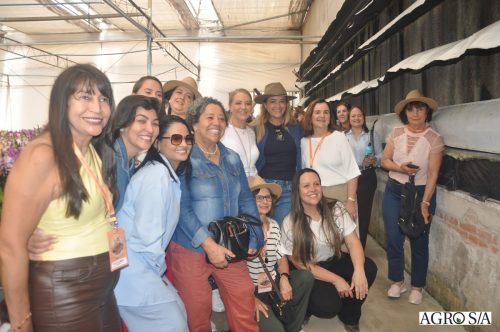 holambra-segundo-dia-58