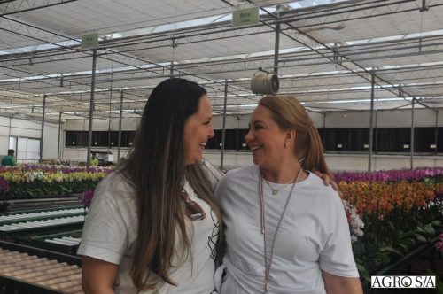 holambra-segundo-dia-72